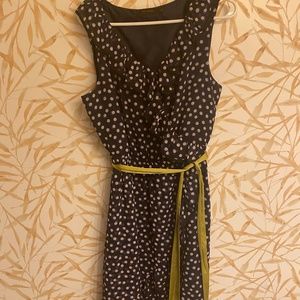 The Limited Size 12 Dress